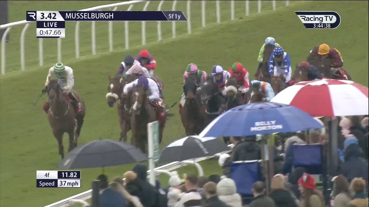 Pilgrim gets up late in a thrilling finish to the Virgin Bet Scottish Sprint Cup Musselburgh Racecourse! 💜🤍