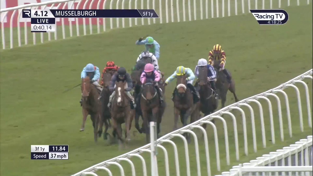 Adonius🌬️ A VERY impressive debut performance from the Soldier's Call juvenile. Rebecca Menzies Racing
