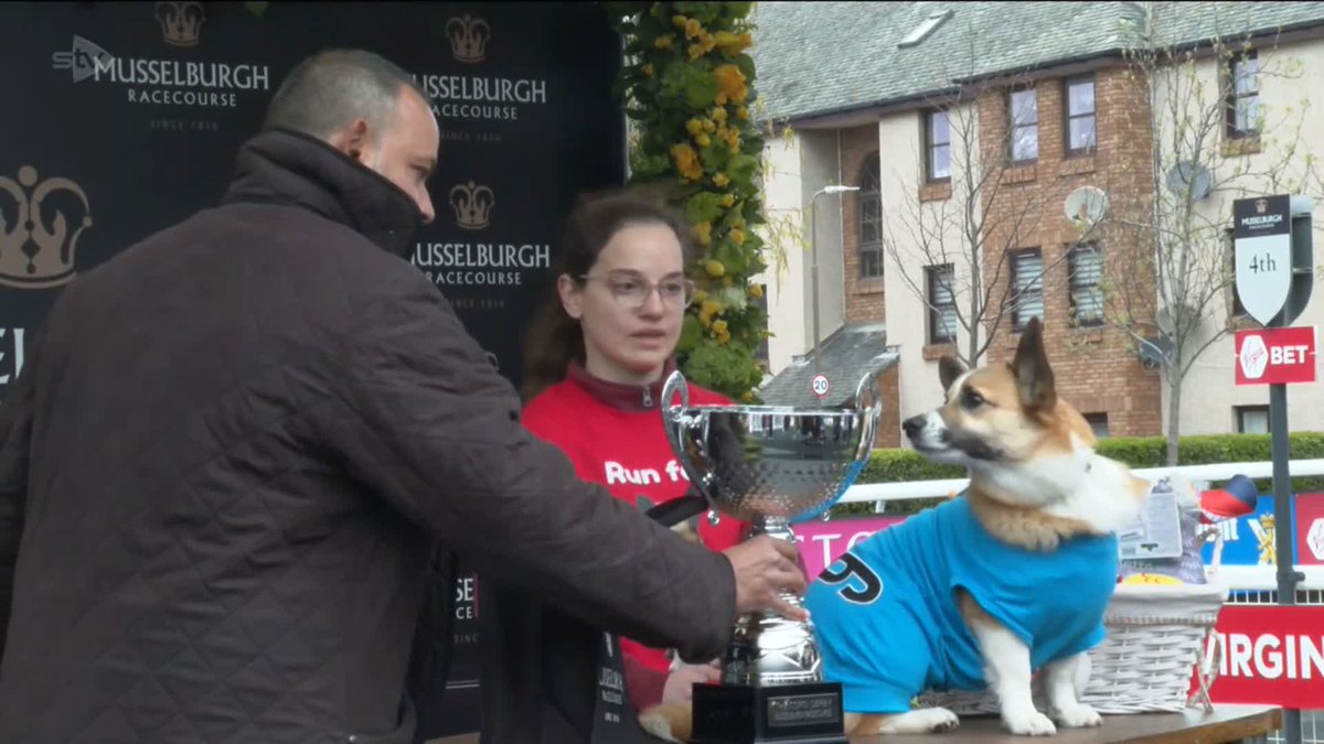 A Pembroke Welsh Corgi with a penchant for hot dogs has come out as top dog at the annual Corgi Derby at Musselburgh Racecourse.