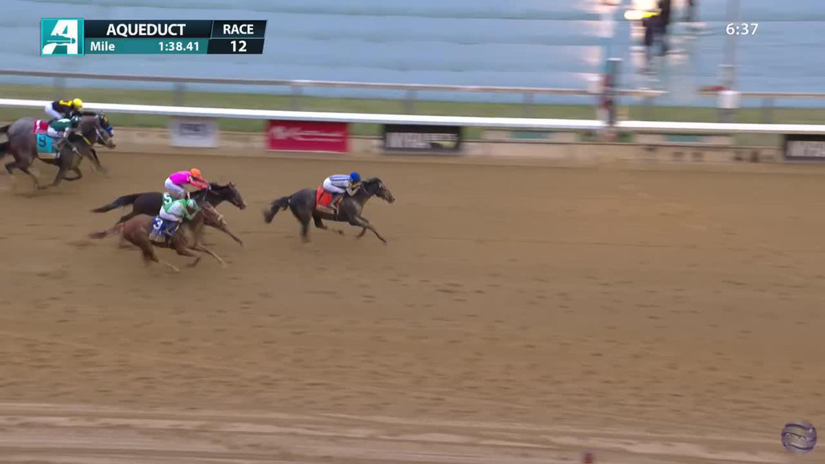 Albus wins the Wood Memorial at Aqueduct worth 100 points on the Road to the Kentucky Derby! 🌹