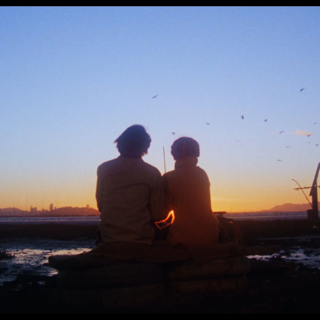 Evening viewing recommendation? On Criterion Channel, watch Hal Ashby's HAROLD AND MAUDE (1971). Equal parts gallows humor and romantic innocence, Ashby's film dissolves the line between darkness and light along with the ones that separate people by class, gender, and age, and it features indelible performances and a remarkable soundtrack by Cat Stevens.