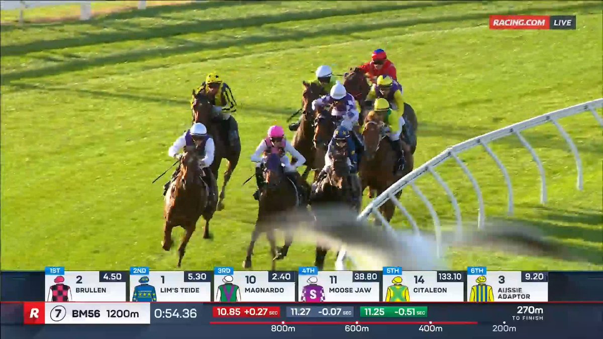 Mornington Race 7 | Magnardo 7 in a row! Reece Goodwin has this mare going gangbusters ๐ ๐ฅ Best bet salutes for Brent Zerafa ๐บ Ch. 78/68, Foxtel 529, Kayo or via our app REPLAYS:
