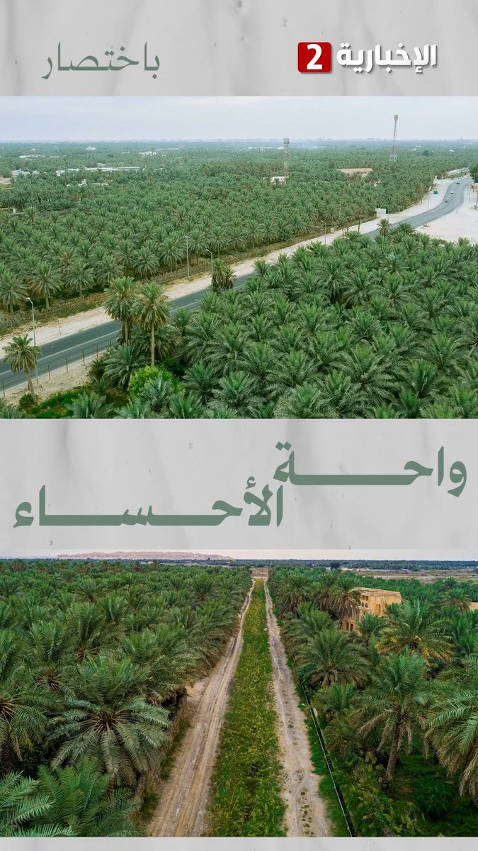 لماذا سميت الأحساء بهذا الاسم؟ #باختصار #الإخبارية2