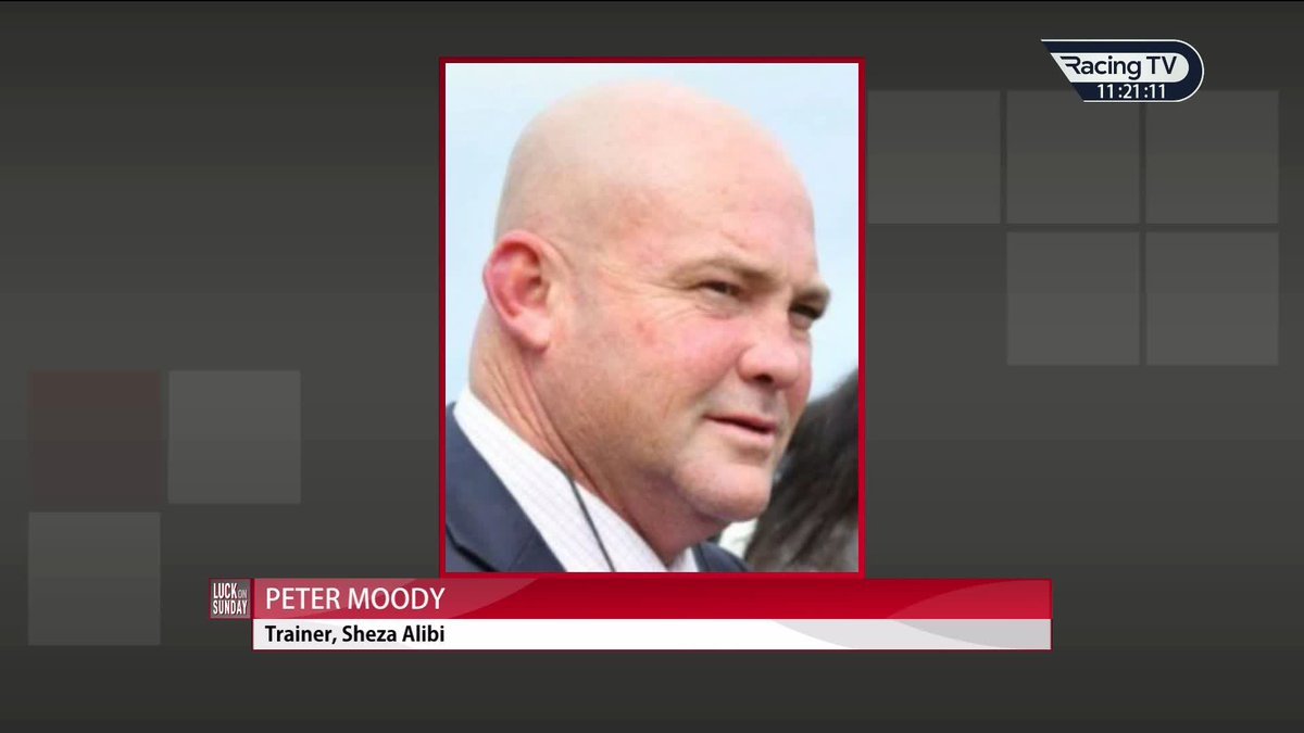 🗣️"There's always a temptation to go on to the world stage." Peter Moody considers the possibility of sending Sheza Alibi, who was sensational in the Doncaster Mile Royal Randwick on Saturday, to Royal Ascot 🤔 #LuckOnSunday | World Pool