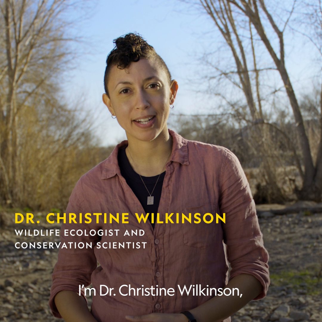 Spotted hyenas are a powerful example of the resilience and strength found in nature. For wildlife ecologist, conservation scientist, and National Geographic Explorer Dr. Christine Wilkinson, these reminders are what wonder is all about. #StepIntoWonder with National Geographic’s #EarthMonth collection on Disney+.