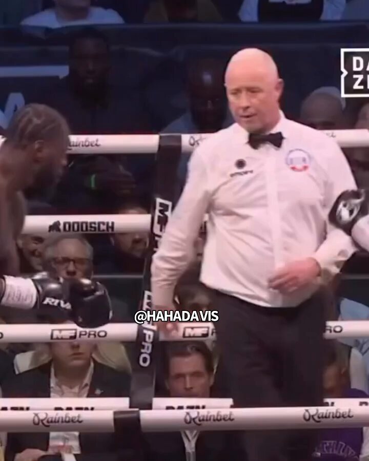 Big fella sleeping on the job 😂