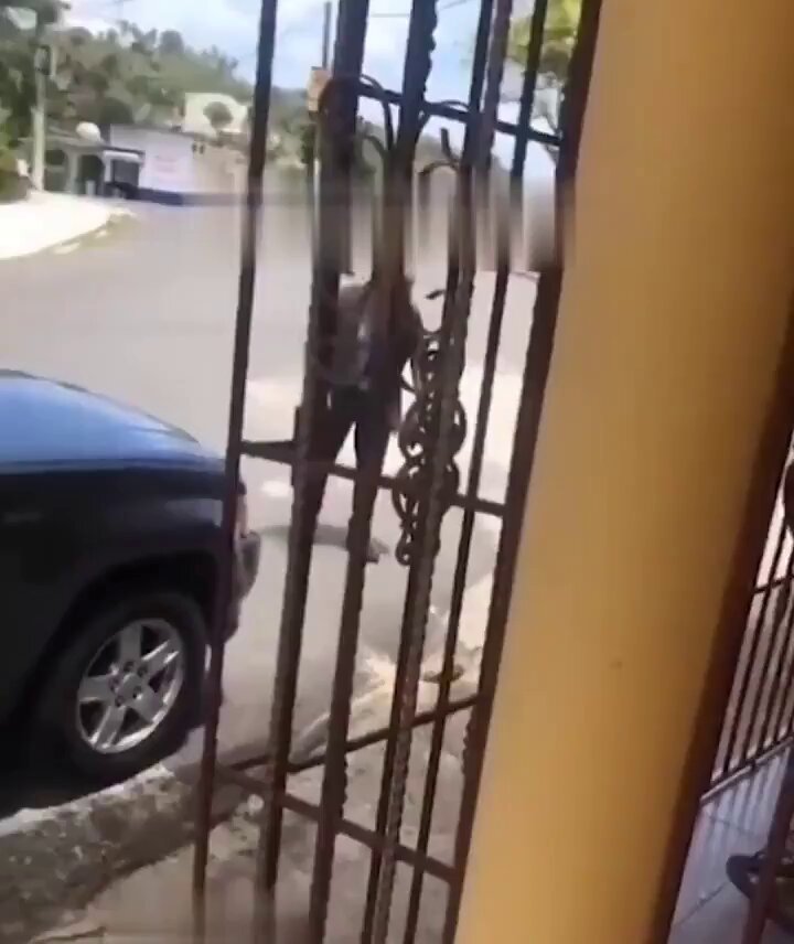 Menuda puntería la de este cabrón 😆😆.. Como dicen por ahí, nunca hay que darle la espalda al enemigo 🤷..
