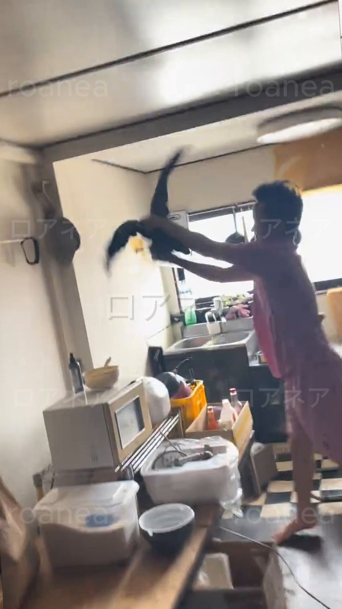 在日ベトナム人達、カラスを捕まえて「おかゆを作る！」と動画を投稿、ベトナム式おかゆの「チャオ」を作ると連呼 アパートは少し外国っぽくも見えるが、着てる服は「TOCHIGI」と書かれ、ゴミ箱や天然水も日本語 次回の動画でカラスのチャオを披露するからチャンネル登録して待ってろとのこと。