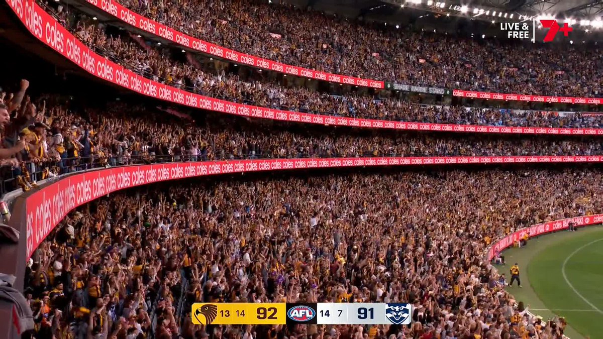 WHAT A FINISH. Hawthorn win by a point! #AFLHawksCats