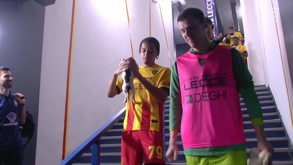 ๐ฅฐ๐ ๐ง๐ฅ๐ข๐ฃ ๐๐๐ข๐จ ! En soutien ร la cause animale, les joueurs de Lecce rentrent avec un chien dans leurs bras avant le match face ร lโAtalanta. ๐ ๐ฅ DAZN France ๐ฎ๐น