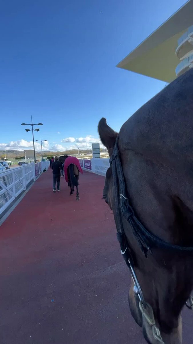 I’m usually very steady in this game but this one hurts. Saint Sam has been one of my favourite horses for years &amp; one of my Cheltenham highlights was getting to see him each year. I always put him back on the lorry to go home &amp; it became a little tradition. Just gutted❤️🤍🖤