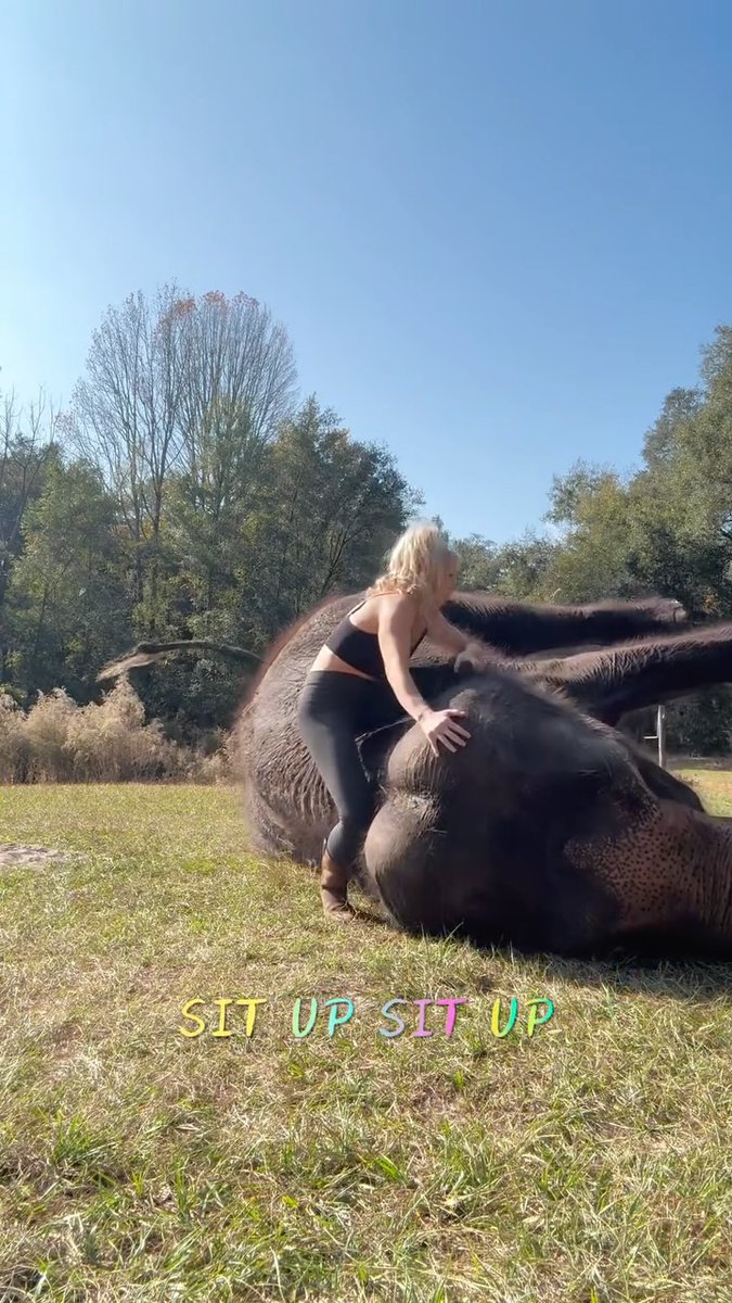 I’m not sure people realize how smart elephants are
