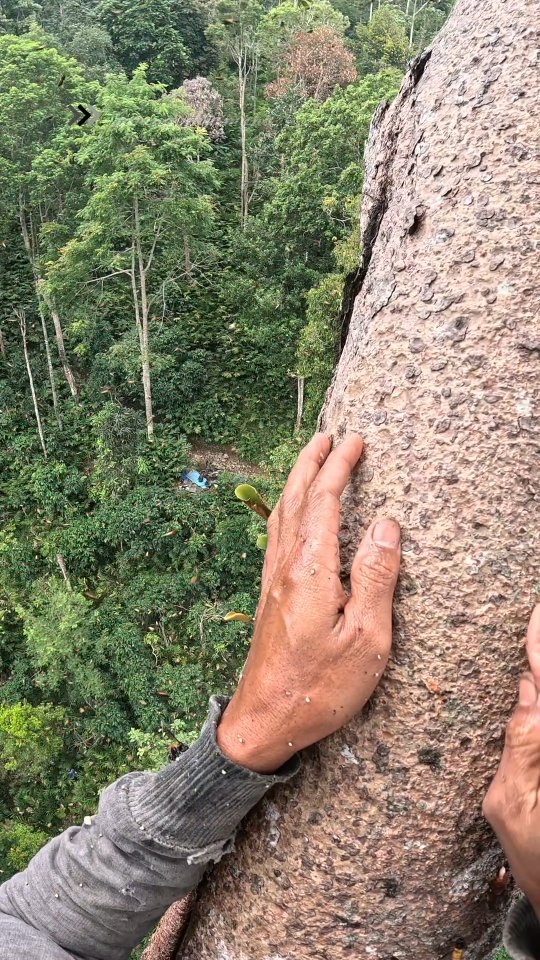 I got goosebumps after seeing this