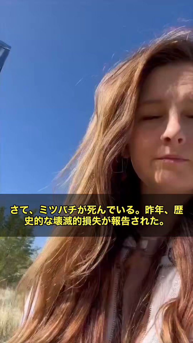 アメリカで今、深刻な危機が静かに進行しています。 🐝 全米のミツバチのなんと60〜80％が死滅したというんです。 昨年、歴史的規模の壊滅的な損失が報告されました。 原因として注目されているのが、ネオニコチノイドと呼ばれる農薬です。 これは植物の組織全体に浸透・残留するという特性を持っていまして、樹木のような密度の高い組織では毒素が数年間も蓄積され続けるんです。 毎年散布されることで毒性はどんどん強まっていきます。 🌸 春に開花した花の蜜を吸ったミツバチは方向感覚を失い、巣に戻ることができなくなるか、花の上でそのまま死んでしまうわけです。 さらに怖いのは、農場からの散布が地下水にまで浸透し、生態系全体を蝕んでいるという点です。 オオカバマダラという蝶の渡りが激減しているのも、この農薬の影響が大きいとされています。 問題なのは、これだけ深刻な状況でも、メディアも政府もほとんど取り上げようとしていないことです。 ミツバチの消滅は、食料生産を支える授粉の崩壊を意味します。 これは私たちの食卓に直結する問題なんです。