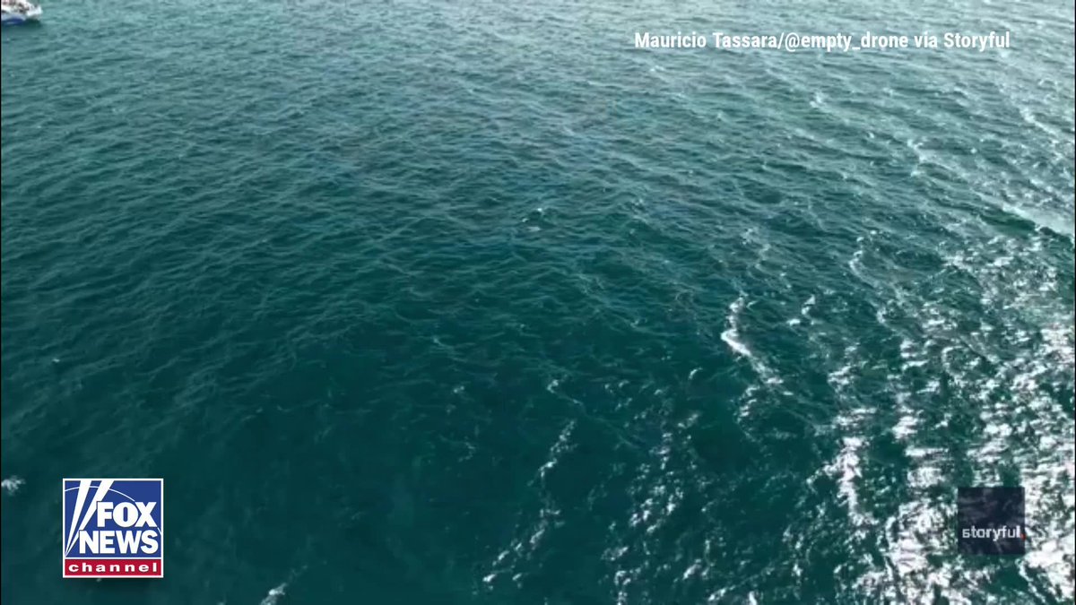 WHALE WATCH: A drone operator captured breathtaking footage of a humpback whale breaching "well over 25 times" off the coast of Rancho Palos Verdes, California.