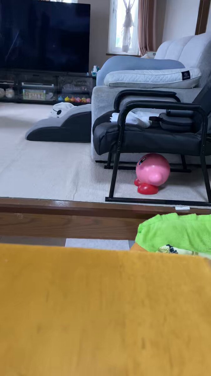おはようございます😤 #コーギー #コーギーのいる暮らし ＃犬のいる暮らし まさにコーギーの抗議🪧