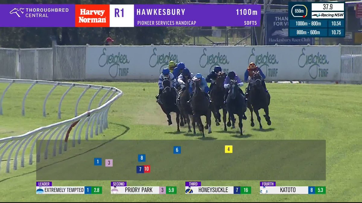 Extremely Tempted... extremely good! The Gai Waterhouse AO-Bott trained galloper Extremely Tempted races to a nice debut win 👏 REGAN BAYLISS