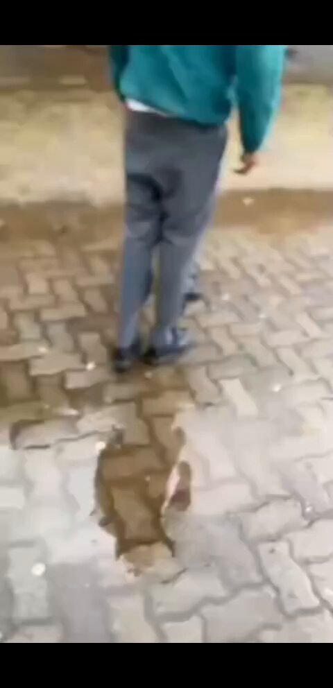 When he started removing his earrings I knew how the fight was gonna end 😂😂