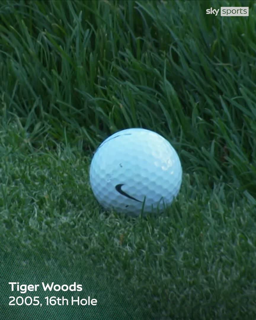 The shot of all shots from Tiger Woods 🐯