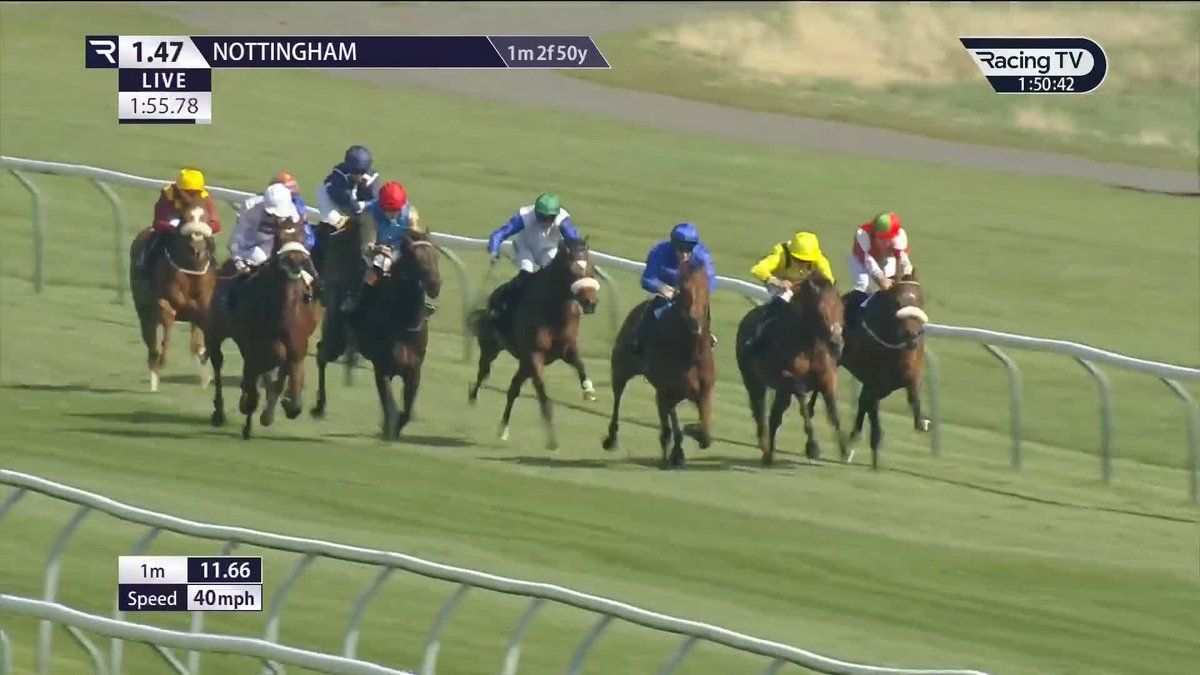 🔵🔵🔵 Homebred Olympic Charter (Kingman) strikes on debut for Charlie Appleby and Godolphin under Connor Planas Nottingham Racecourse