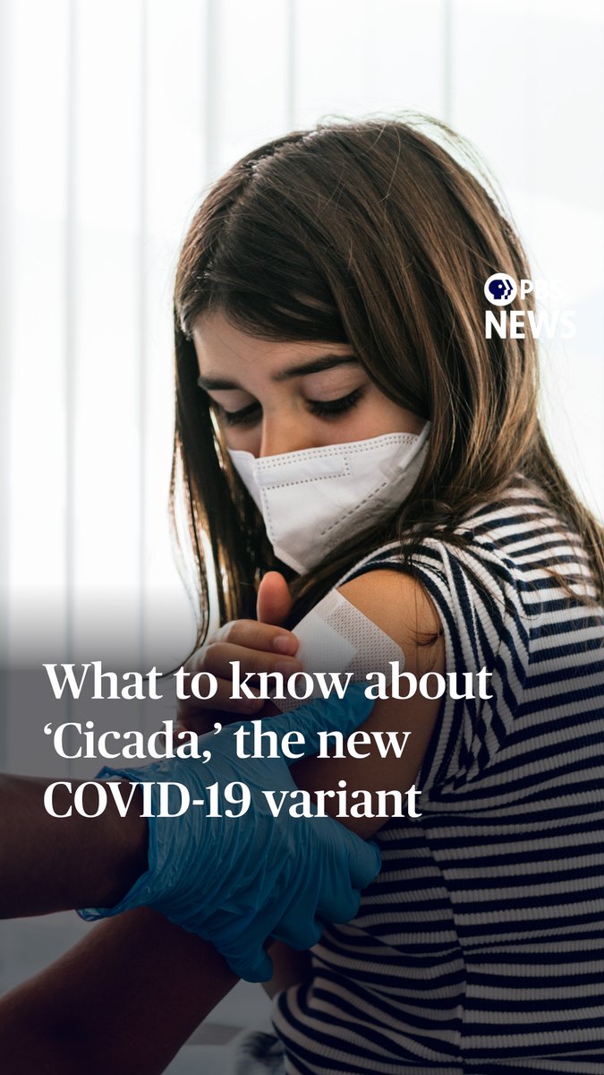 There's a new COVID variant in town. It's called "Cicada," and experts in the U.S. are on alert as it gains traction. The official name of the variant is BA.3.2. It first appeared in 2024 in South Africa and was identified in the U.S. in the summer of 2025. It went dormant, much like its namesake insect, before resurfacing again in the U.S. around the new year. "Cicada" is part of the omicron family, so it is similar to other recent variants. But it has a lot of mutations, making it harder for previous versions of the COVID vaccine to keep up against infection. In Europe, this variant is behind about 30% of recent COVID-19 infections. In the U.S., it makes up a small number of known infections right now, but home testing and less stringent tracking by public health authorities makes it hard to track. Cicada had been detected in 25 different states in the U.S. as of Feb. 11, according to the U.S. Centers for Disease Control and Prevention. It’s too early to tell who might be most affected by this variant or how severe its symptoms are. Scientists interviewed by our friends at PolitiFact said, so far, "Cicada" seems to be mimicking other recent variants. Some early lab tests indicate it may be less transmissible, though more research is needed. Current vaccines are still a good safeguard against severe illness, though protection against infection may be more limited compared to other recent strains. If cicada becomes more widespread, the variant may be able to sneak past immunity from previous infections and vaccines. Home COVID-19 tests should be able to detect this variant. People who are immunocompromised and older adults should consider whether they need a vaccine booster, federal health authorities suggest.