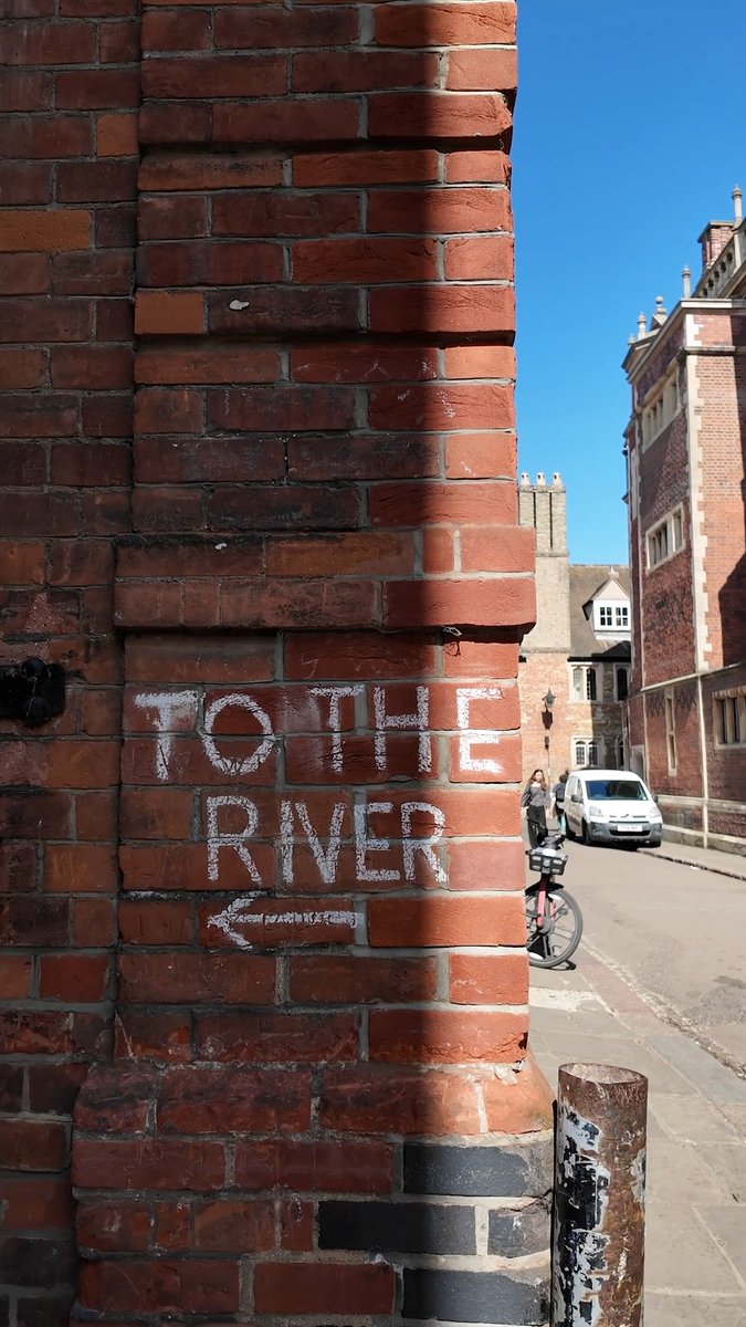 Warm day in Cambridge? It's time to head to the River Cam 🚣 🍃 🦆