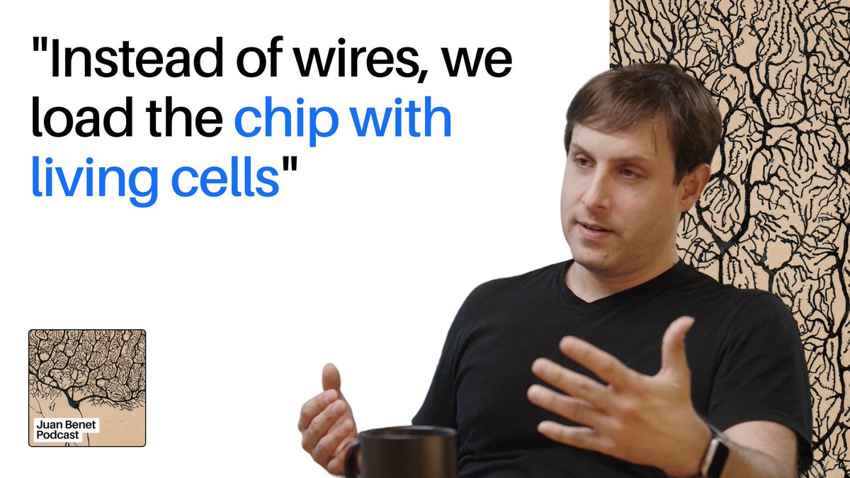 Excited to launch a new podcast dedicated to conversations on the future of neurotech, computing, intelligence, and more. First guest: Max Hodak founder & CEO of Science Corporation, which is building PRIMA, a retinal prosthetic that’s restoring meaningful vision for patients with blindness caused by age-related macular degeneration. Science is also developing a biohybrid brain implant that grows living neurons directly onto a silicon chip, then interfaces that system with the cortex. The possibility space here is vast and new. Imagine growing new areas of the brain. Sections 00:00 What counts as neurotech? 01:45 History of brain-computer interfaces and the smartphone dividend 07:25 PRIMA - How Science is restoring vision in blind patients 10:10 Why stimulating bipolar cells works when the optic nerve doesn't 30:30 Are we bottlenecked by biology or engineering? 32:40 Expanding the brain's bandwidth beyond 10 bits per second 37:00 Can we add new areas to the brain? 37:46 Biohybrid BCIs: neurons growing on a chip 39:20 What could neural augmentation look like? 01:13:20 How Science drives Fast R&D 01:44:00 How founders learn and level up This is the kind of discussion I’m excited to explore on this podcast. Enjoy! Full Episode 1 here and in links below.