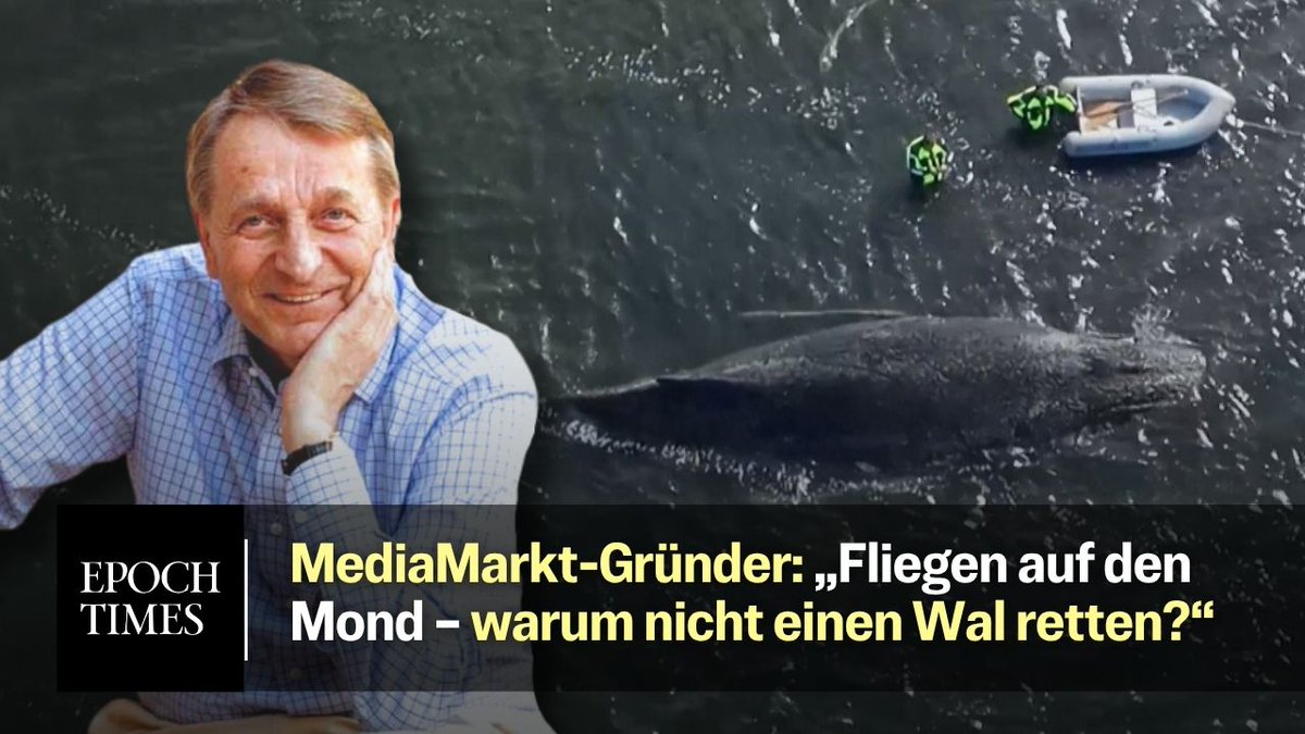 Die Rettung des gestrandeten Buckelwals „Timmy“ der seit Tagen vor der Ostseeküste festsitzt, bewegt viele Menschen. Bisherige Rettungsversuche blieben erfolglos. Mediamarkt-Gründer Walter Gunz möchte eine neue Rettungsaktion finanzieren. Die Kosten spielten dabei keine Rolle, erklärte der Multimillionär: „Ich würde das jetzt mal ohne Limit einfach mal so in den Raum stellen.“ Seiner Ansicht nach sei es gar keine Kostenfrage, sondern eine technische Frage: „Wie macht man es und wer? Wer hat die gute Idee? Wer hat das nötige Werkzeug? Wer ist spezialisiert auf so etwas?, fragt sich der Unternehmer. Allerdings schließen mehrere Experten eine erfolgreiche Rettung bereits jetzt aus. Ihrer Ansicht nach liege der Wal bereits im Sterben, da er schwer krank und geschwächt sei. Gunz hat jedoch noch Hoffnung: „Mir geht es darum, dass man erst aufgibt, wenn es wirklich hoffnungslos ist.“ Die Finanzierung einer möglichen Rettungsaktion ist somit sichergestellt. Wer mit Expertise oder Ausrüstung helfen möchte, kann sich unter rettung@epochtimes.de bei uns melden. Wir stellen dann den Kontakt zu Herrn Gunz her.