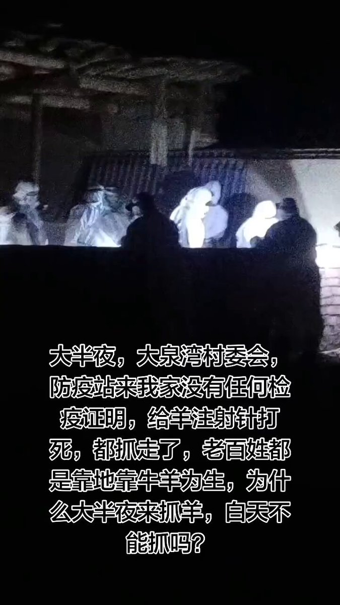 4月8日，新疆维吾尔自治区哈密市大泉湾乡，村民反映： 大泉湾村委会和防疫站人员深夜在无正规防疫文书、无合法手续的情况下，闯入家中，强行将我家羊群注射药物致昏迷后全部拉走，全程未出示任何证明，未说明具体病因。