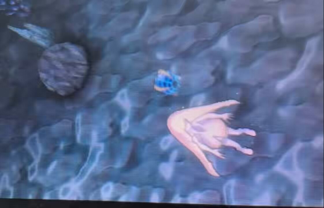 when she falls, lusamine asks when lillie started to become beautiful. lillie has been beautiful all along. only when she stands up does lusamine begin to recognize how convoluted she’s become. the point of this is that the good in her mom that lillie has believed in is there. 🧵