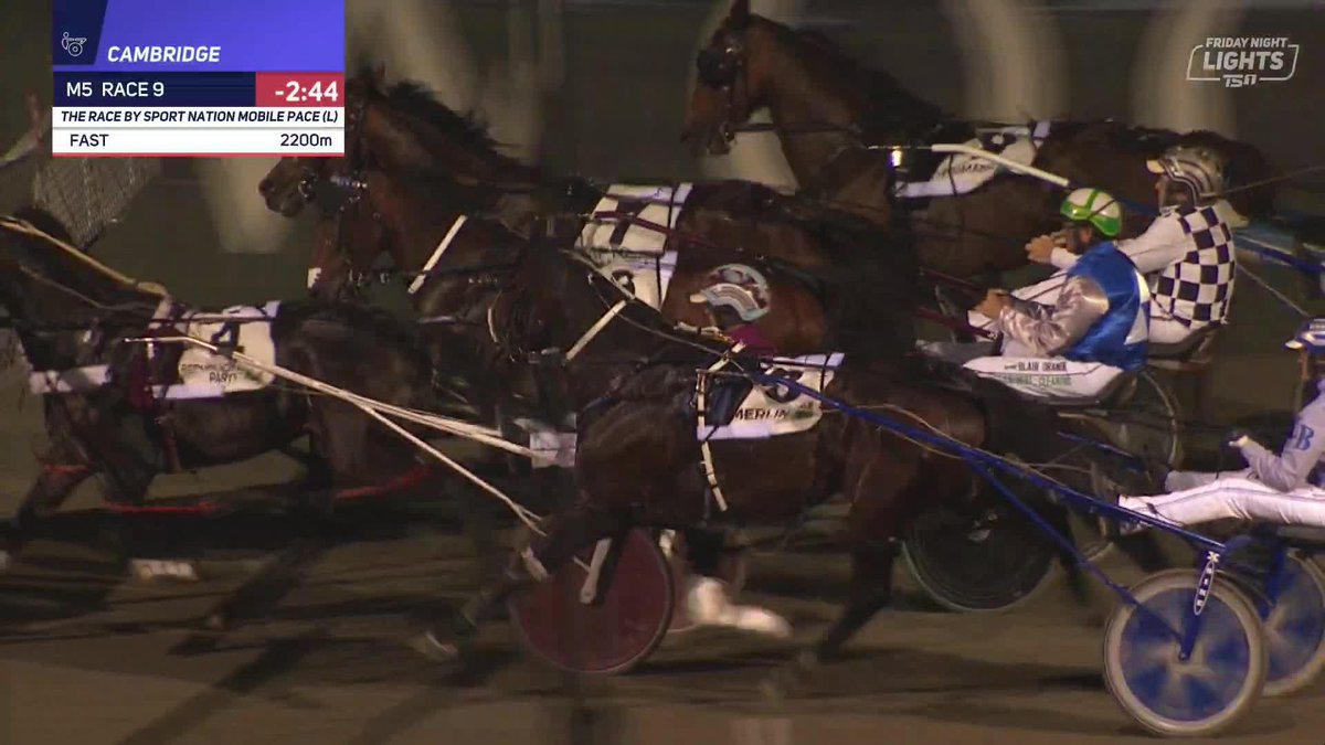 "STAND UP... APPLAUD THE PERFECT PACER!" 👏 Leap To Fame is inevitable 👑 Grant Dixon, as always, drove and trained Larry to victory, going back-to-back in The Race by Sport Nation NZ. WATCH LIVE ⏩ Harness Racing NZ | Woodlands Stud NZ | Cambridge Raceway