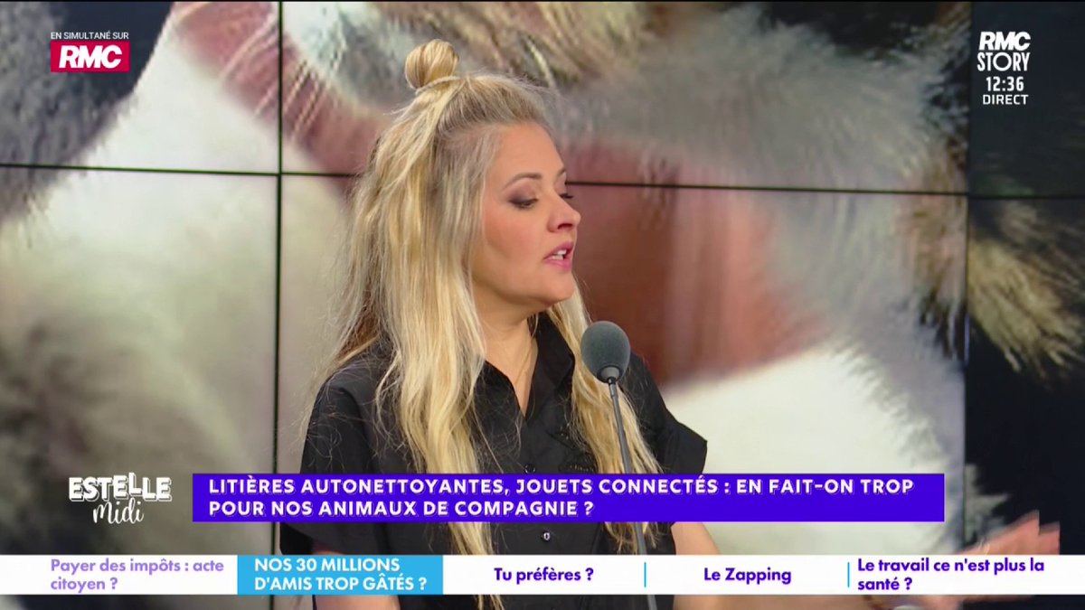 🐶 En fait-on trop pour nos animaux de compagnie ? 🎙️ Carine Galli : "Dodu me coûte très cher ! 70€/mois de mutuelle et les croquettes à 80€ les 12kg ! Il y a beaucoup de vétos qui te poussent... je suis arrivée chez une véto : 80€ la pâtée... Ils m'ont vendu n'importe quoi !"