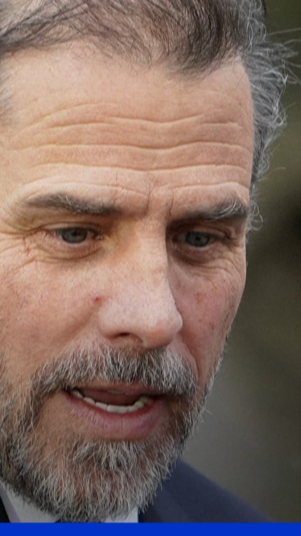 Le fils de Joe Biden propose un “combat en cage” avec les fils de Donald Trump