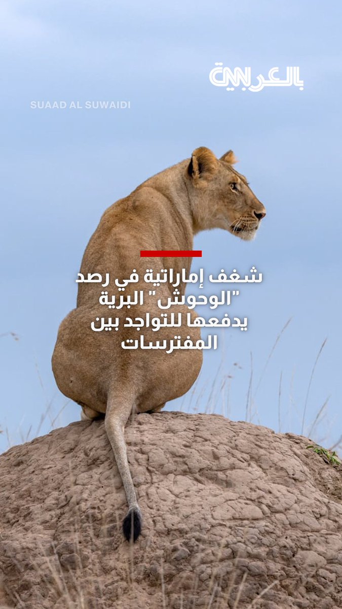 شغف إماراتية في رصد "الوحوش" البرية يدفعها للتواجد بين المفترسات.. إليك بعض اللحظات النادرة التي رصدتها