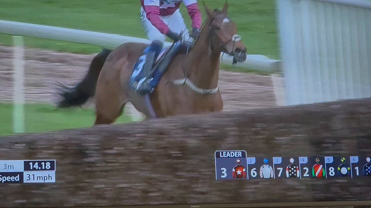 RIP Gold Dancer. This horse broke his back on the last jump, jockey and animal abuser Paul Townend then forced and whipped the horse over the finish with a BROKEN BACK to finish 1st. The horse was killed. Should have been the jockey. #Aintree #horseracing #RIP #Golddancer