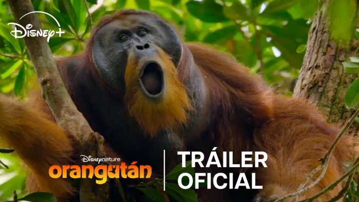 Que esté narrado por Josh Gad debería ser suficiente para convencerte. #Disneynature disponible el 22 de abril, solo en #DisneyPlus.