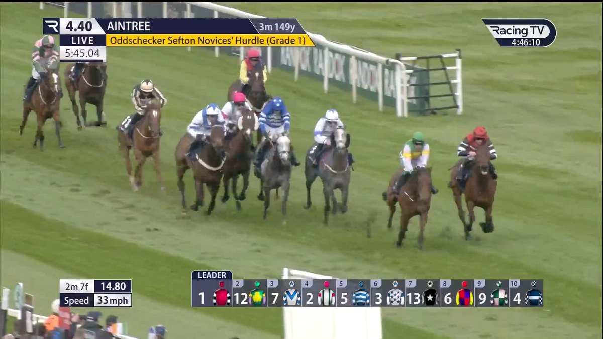 💪 It's Grade 1 glory for Zeus Power who gives the Turners form a huge boost in the Sefton. Joseph O'Brien | oddschecker | Aintree Racecourse