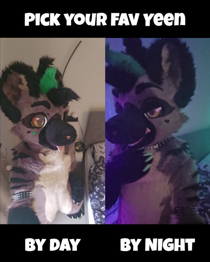 Which one will you pick? ☀️ or 🌙? #fursuitfriday