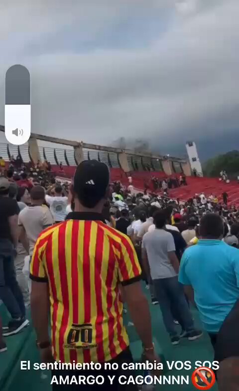 Comprobado los pingiinos también vuelan jajajajaja