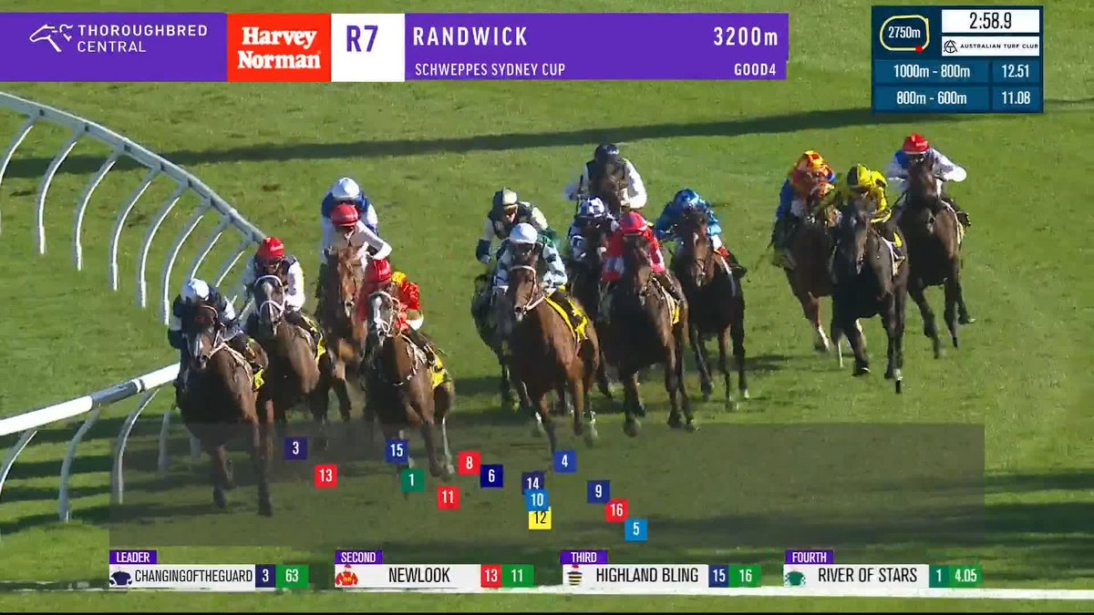 Changingoftheguard salutes in the G1 Sydney Cup at big odds! Lees Racing with a Championships day double! ✌️ Australian Turf Club