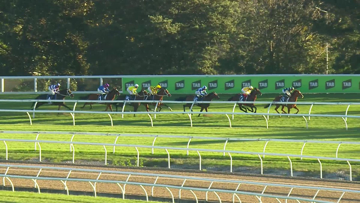 Sir Delius causes an upset! The tough guy outstays his opposition to claim the $5million Group 1 Queen Elizabeth Stakes 🔥 Gai Waterhouse AO Adrian Bott and Craig Williams take out the feature event on Day 2 of The Championships 🏇