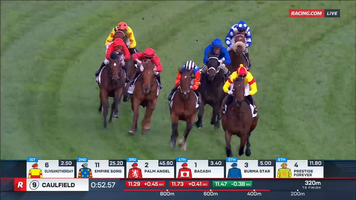 Caulfield Race 9 | Oliveanotherday Oliveanotherday EXPLODES at Caulfield 👀⭐️ This could be a very nice horse for Dabernig Racing! 📺 Ch. 78/68, Foxtel 529, Kayo or via our app REPLAYS: