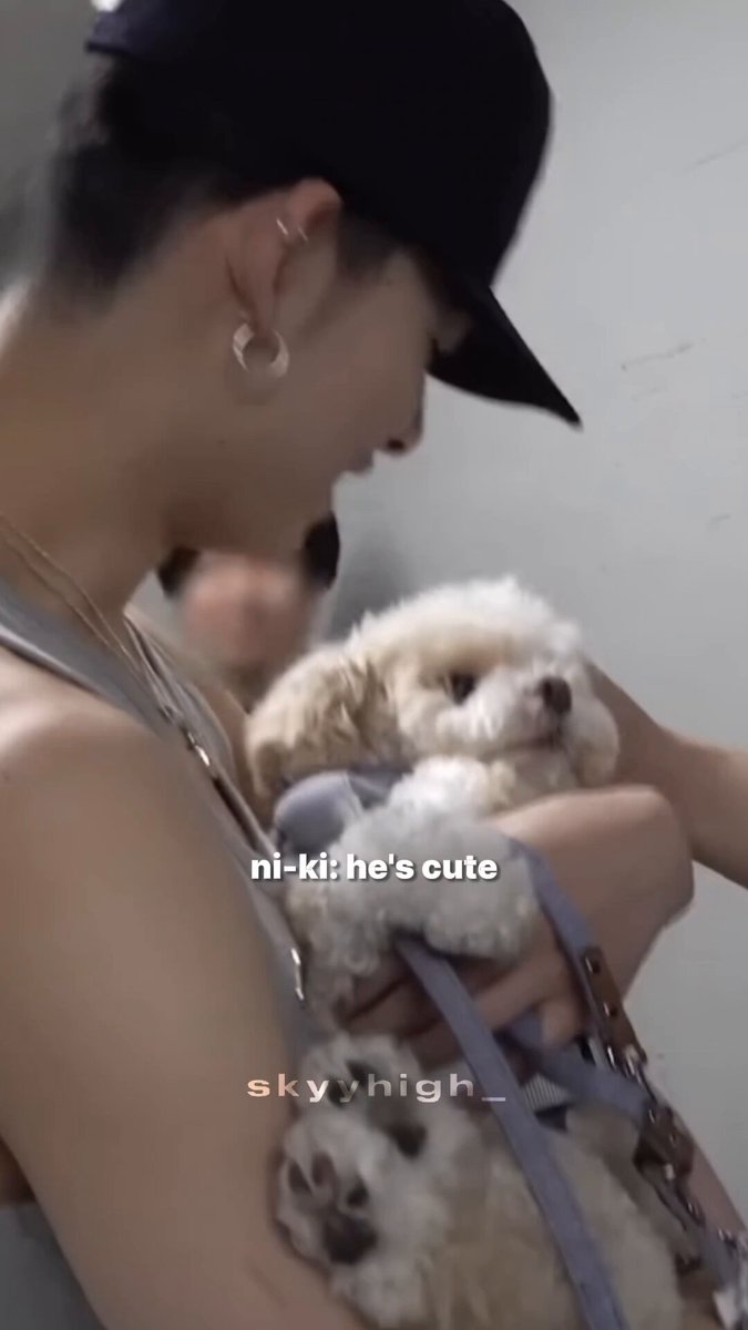 when ni-ki and bisco finally reunited after 4 years, but bisco couldn't recognize ni-ki at first because ni-ki left when he was still so young 🥺 🐥: he's cute, but he doesn't remember me. 🐥: because he was a baby ni-ki's dad: even so, it's ok. #NI_KI #니키 #ニキ