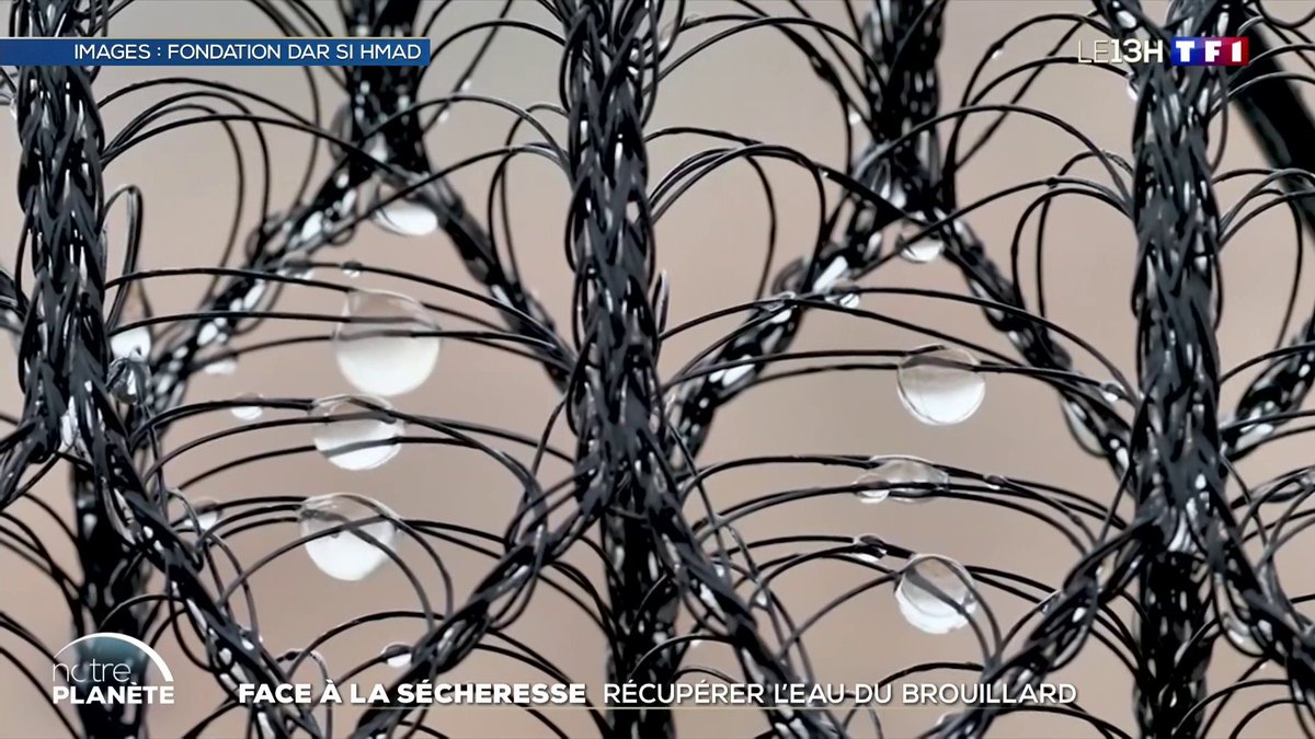 💦 Dans le Sud du Maroc, de l'eau a pu être captée en pleine montagne désertique : des scientifiques sont allés la puiser... dans le brouillard 📺 Regardez le reportage de SamiraElGadir &amp; Soufiane Yassine dans #LE13H de TF1 présenté par Anne-Claire Coudray