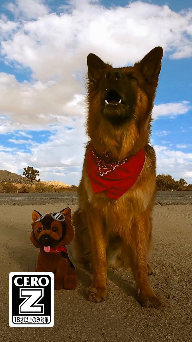 ナショナル・ペット・デーをお祝いしましょう🥳🐾 皆さんはどのドッグミートを選びますか？🐶 #Fallout