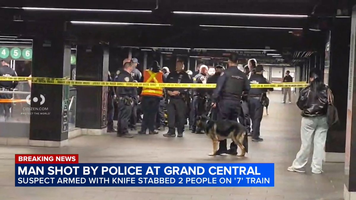 A man was shot after allegedly stabbing several people at Grand Central on Saturday morning, police sources said.