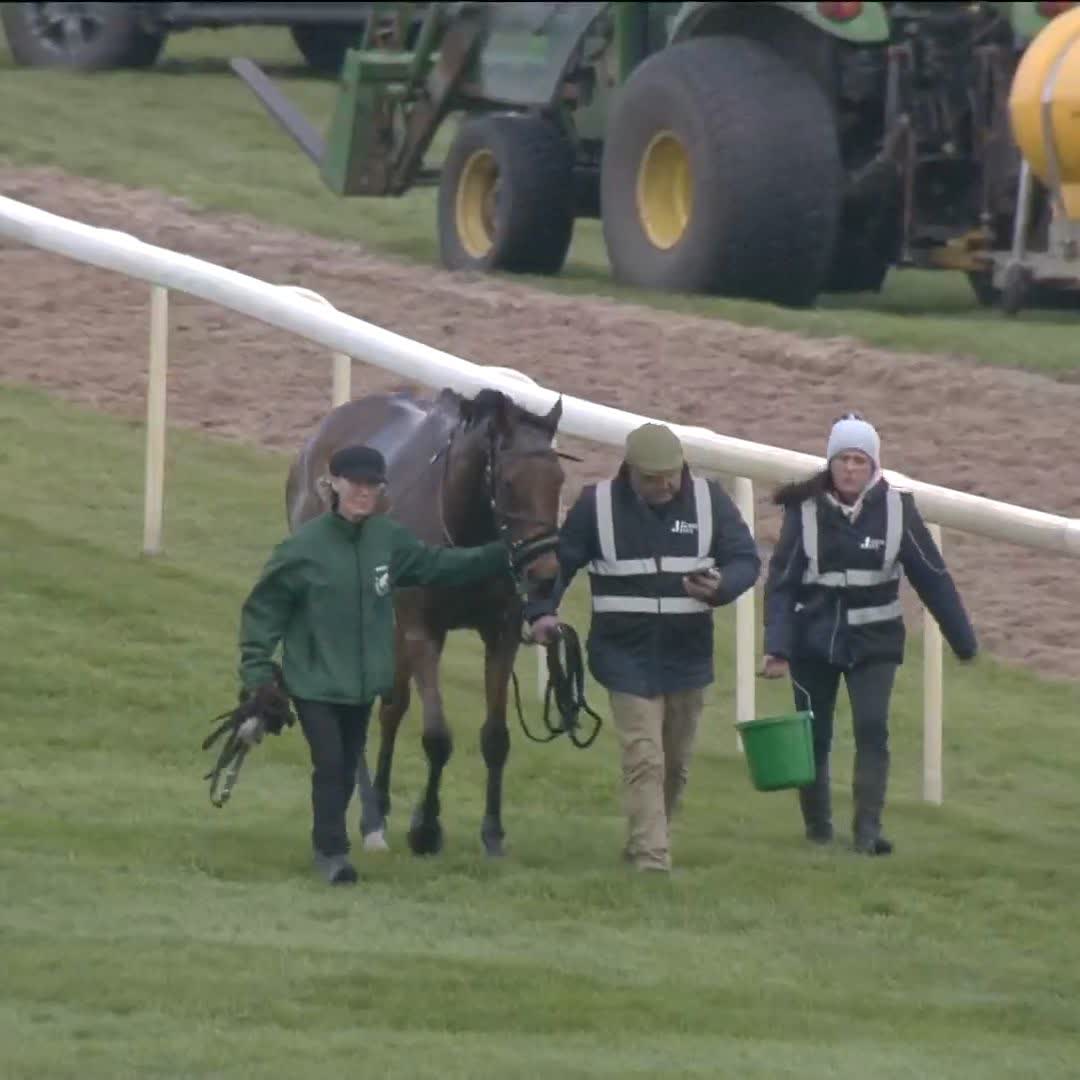 Great news - Top Of The Bill up &amp; OK following treatment