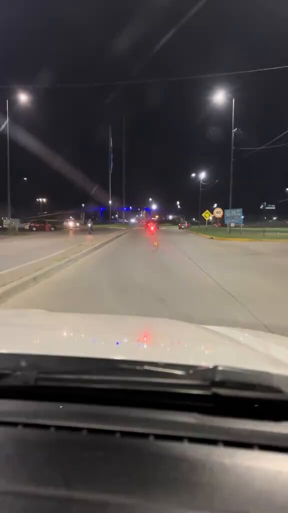 "Abandonado": Porque captaron el triste momento donde un perro perseguía el auto de su familia que lo abandonó en medio de la ruta.