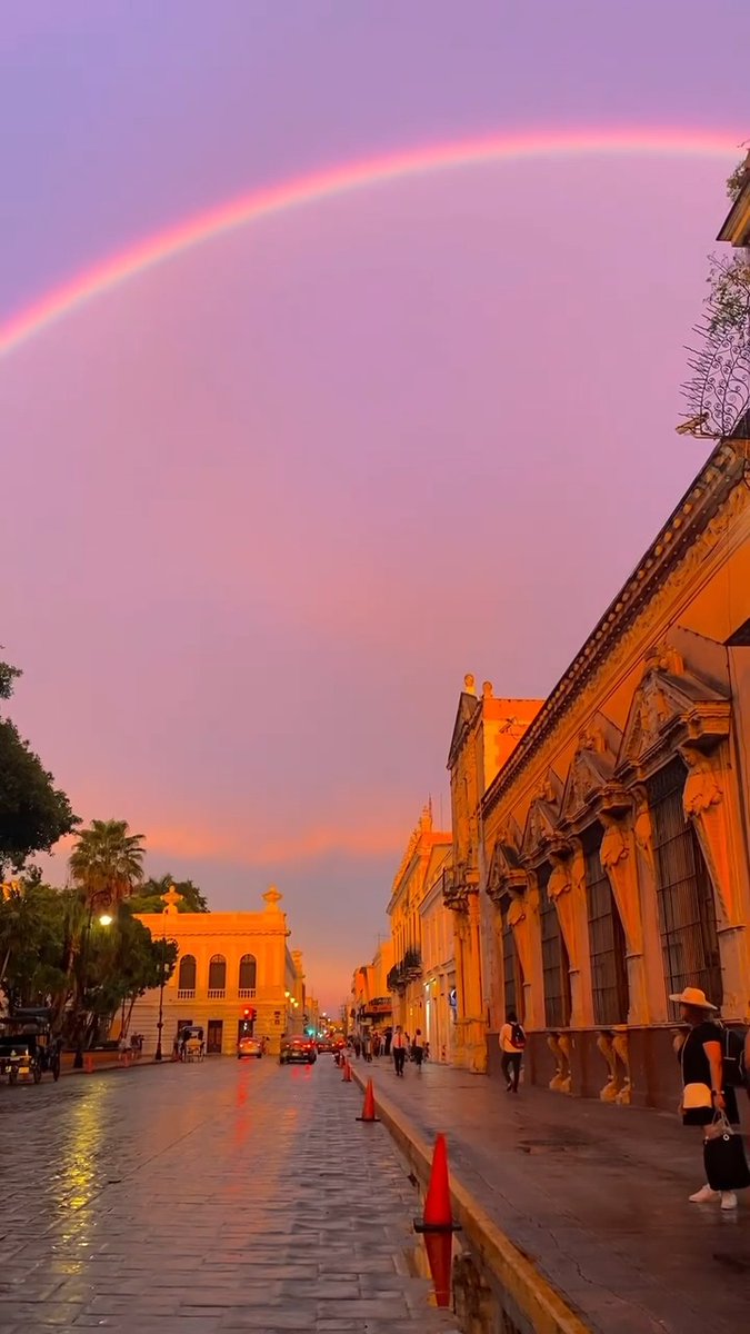 Solo el cielo de #Mérida logra algo así 🌅 La mezcla de nubes densas, luz dorada y un arcoíris transforma el paisaje en una escena casi irreal. El broche perfecto para cerrar el día en la capital de #Yucatán. 💗 🎥: joesantanab - IG