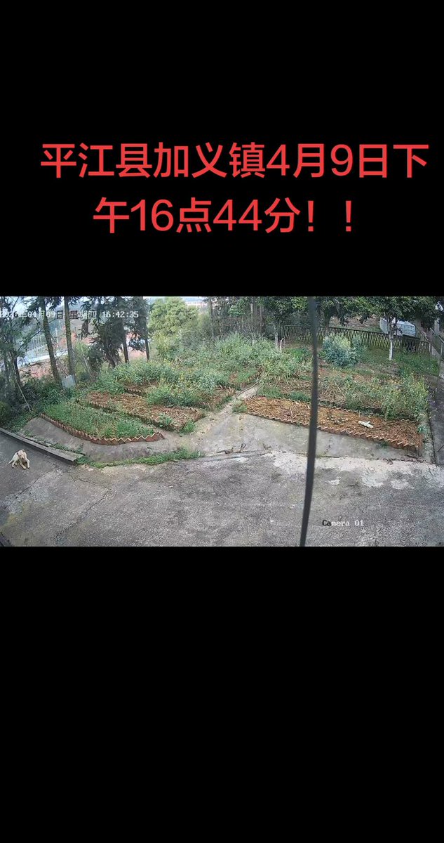 中国湖南省平江县出现的极端天气。狂风骤雨在短时间几乎吞噬整片菜园。